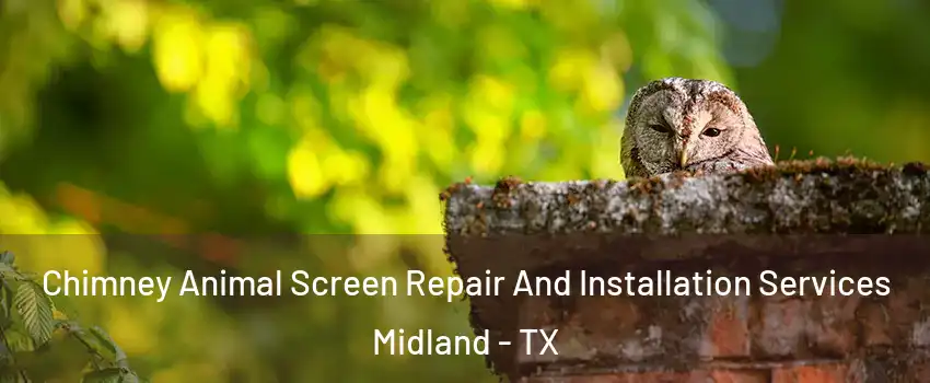  Chimney Animal Screen Repair And Installation Services Midland - TX