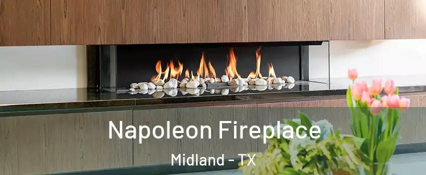  Napoleon Fireplace Midland - TX